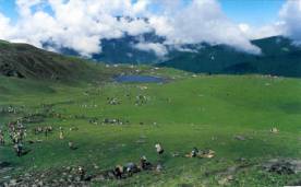 View Bedani bughyal,bedani bughyal tours,india beadni bughyal tours,oopkund trekking,trekking to roopkund,roopkund india himalayas